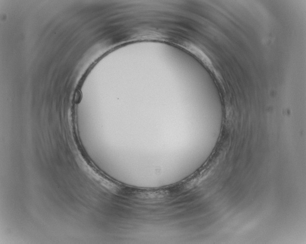 X0000070370947200606301853