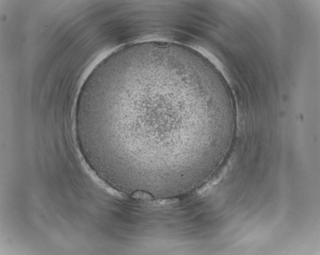 X0000070370949200606301853