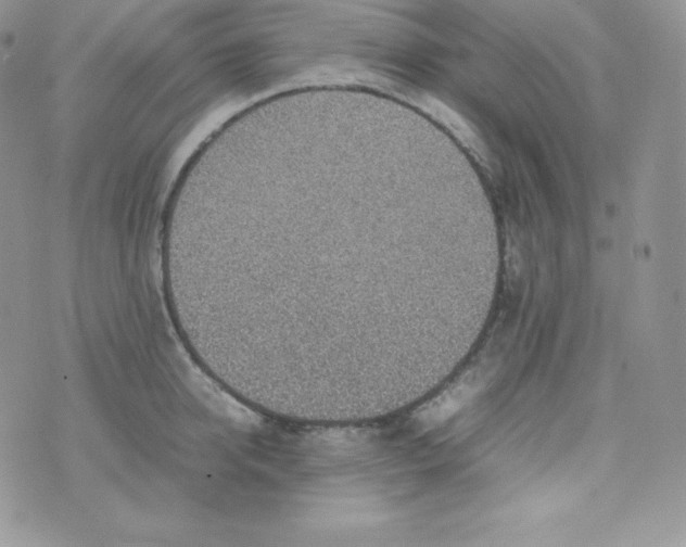 X0000070370950200606301853