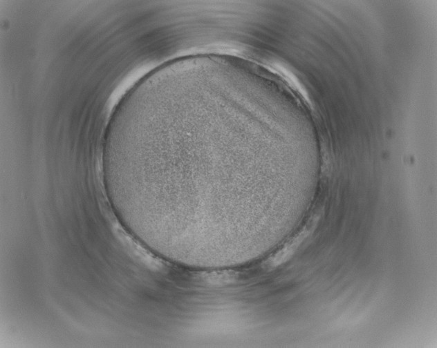 X0000070370952200606301853