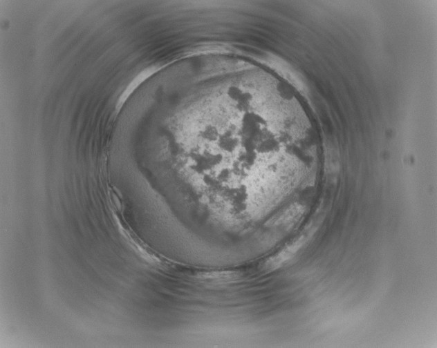 X0000070370953200606301853