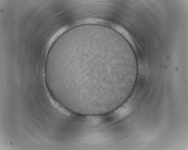 X0000070370954200606301853