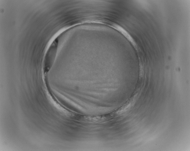 X0000070370955200606301853