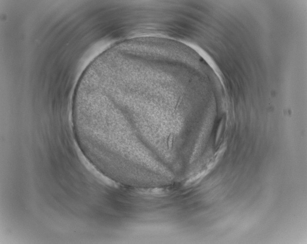 X0000070370957200606301853