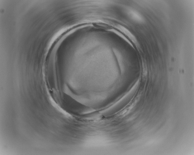 X0000070370958200606301853