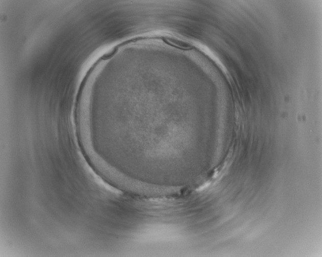 X0000070370959200606301853