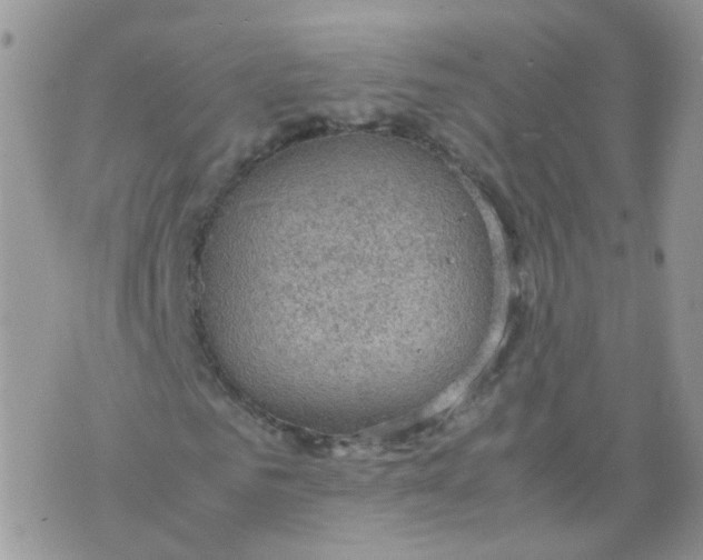 X0000070370961200606301852