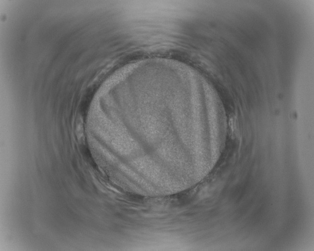 X0000070370963200606301852