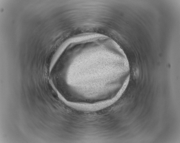 X0000070370964200606301852