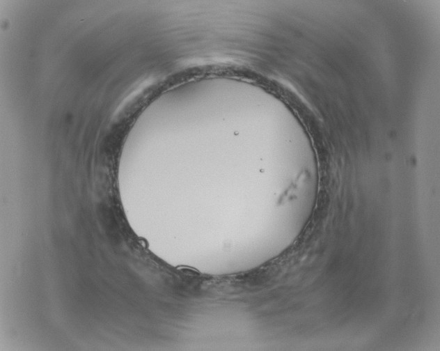 X0000070370967200606301852