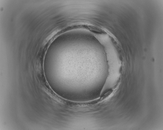 X0000070370969200606301852