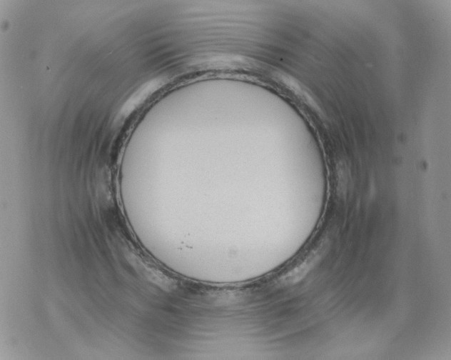 X0000070370970200606301852