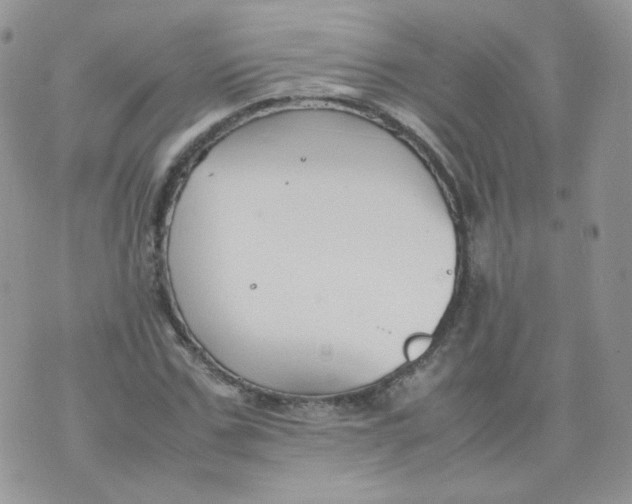 X0000070370971200606301852