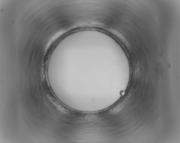 X0000070370974200606301852