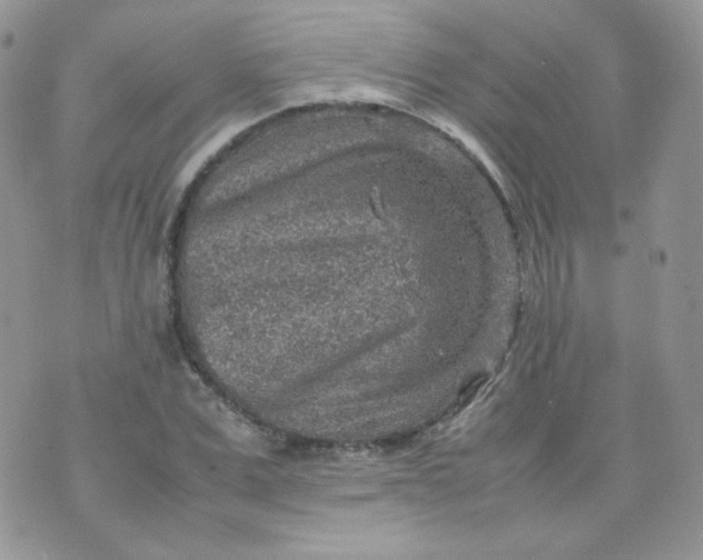 X0000070370975200606301852