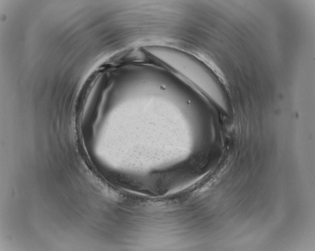 X0000070370976200606301852