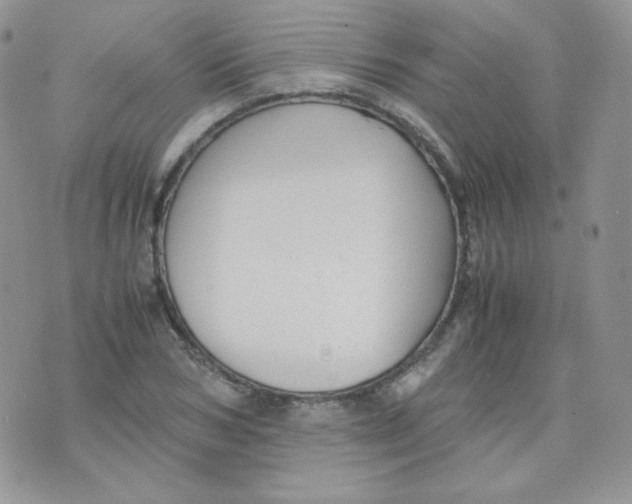 X0000070370978200606301852