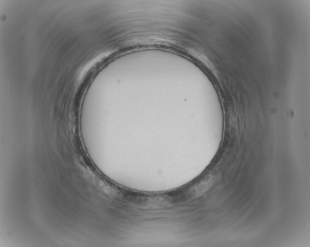 X0000070370979200606301852