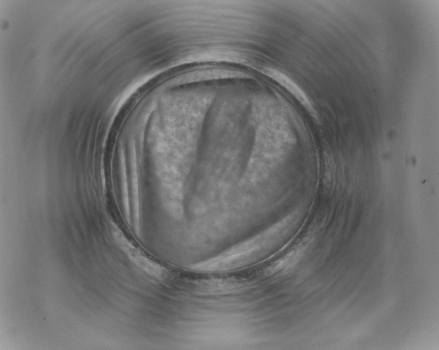 X0000070370980200606301852