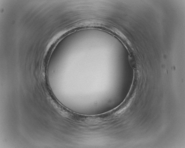 X0000070370981200606301852