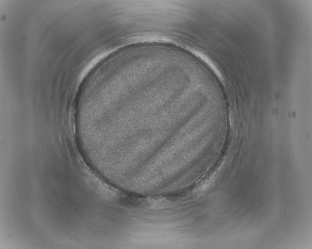 X0000070370983200606301852