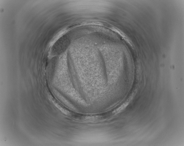 X0000070370985200606301852