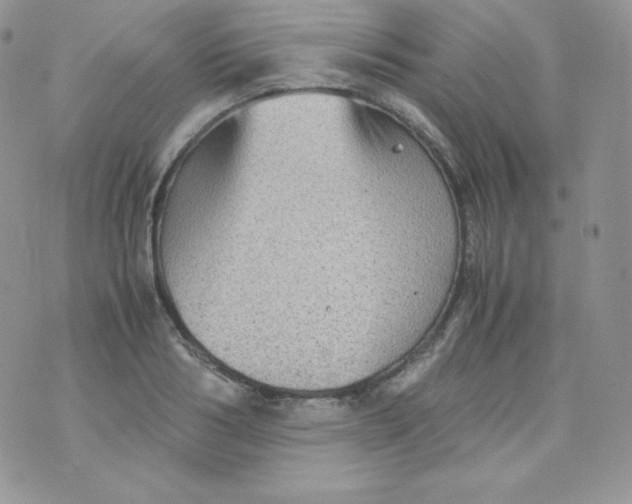 X0000070370986200606301852