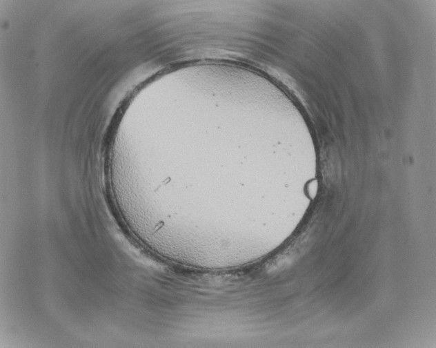 X0000070370987200606301852