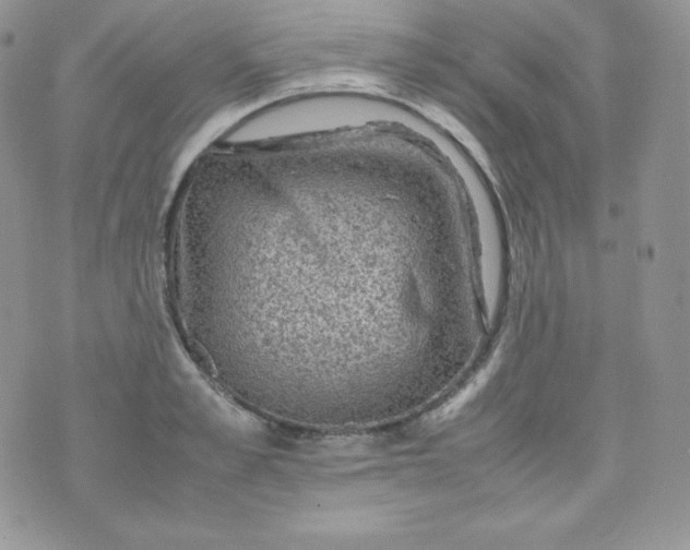 X0000070370989200606301852