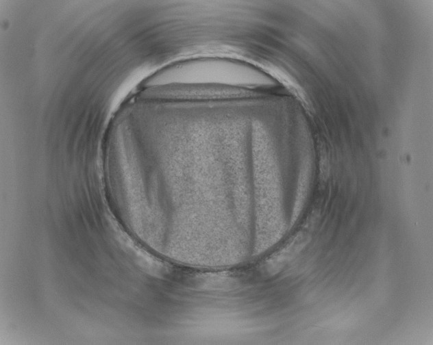 X0000070370990200606301852