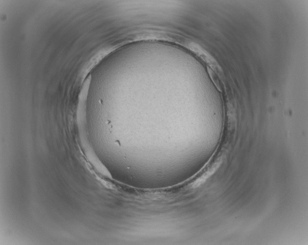 X0000070370993200606301852