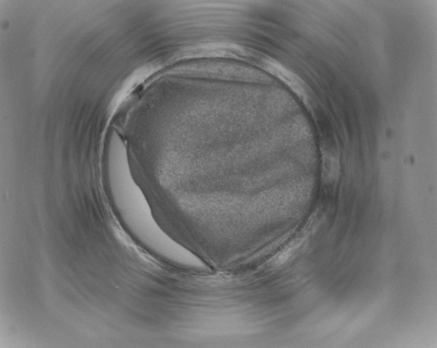 X0000070370994200606301852