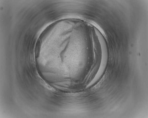 X0000070370996200606301852