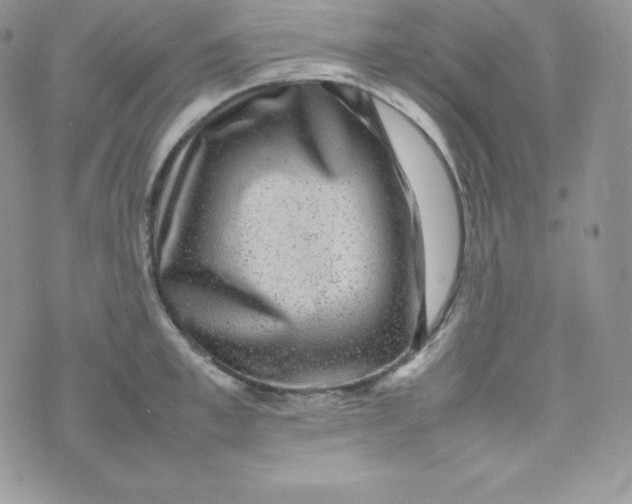 X0000070370997200606301852