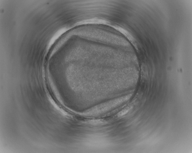 X0000070370998200606301852