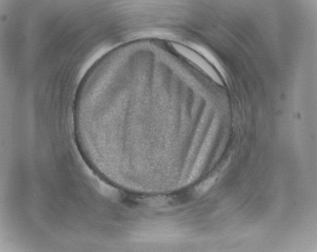 X0000070370999200606301852