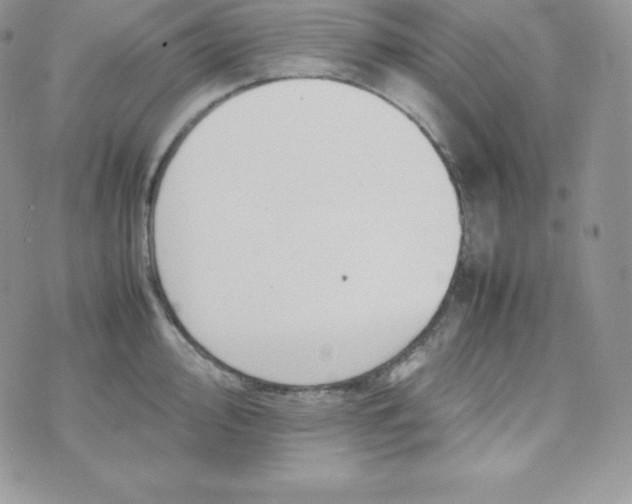 X0000070371000200606301852