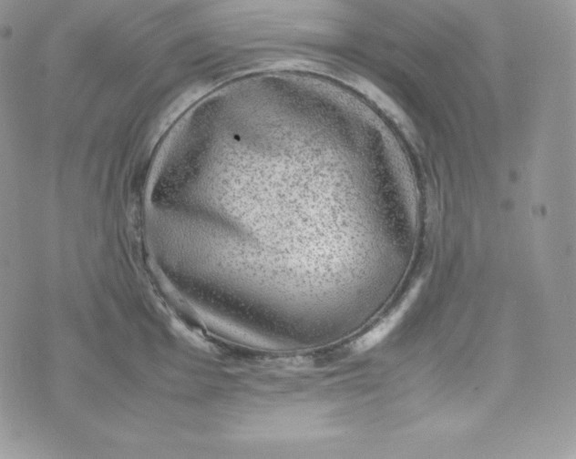 X0000070371001200606301852