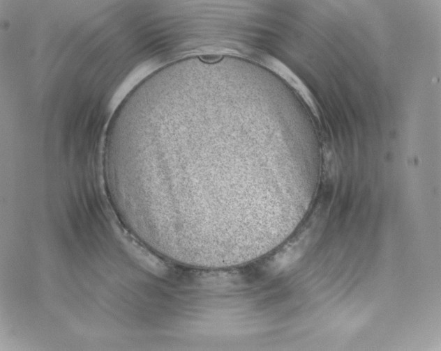 X0000070371002200606301852