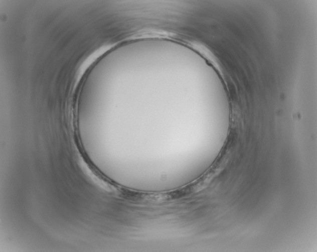 X0000070371003200606301852