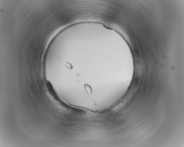 X0000070371004200606301852