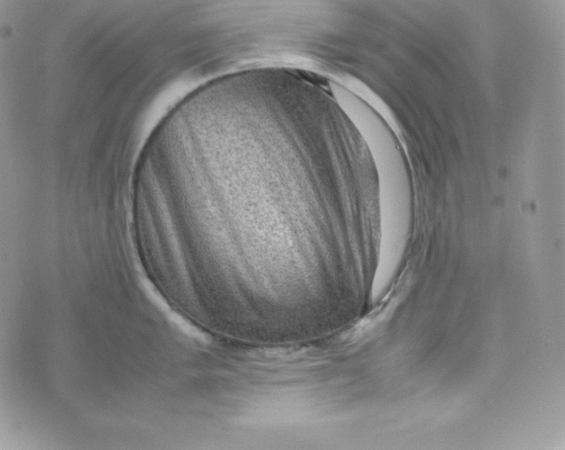 X0000070371005200606301851