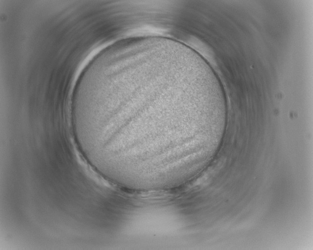 X0000070371008200606301851