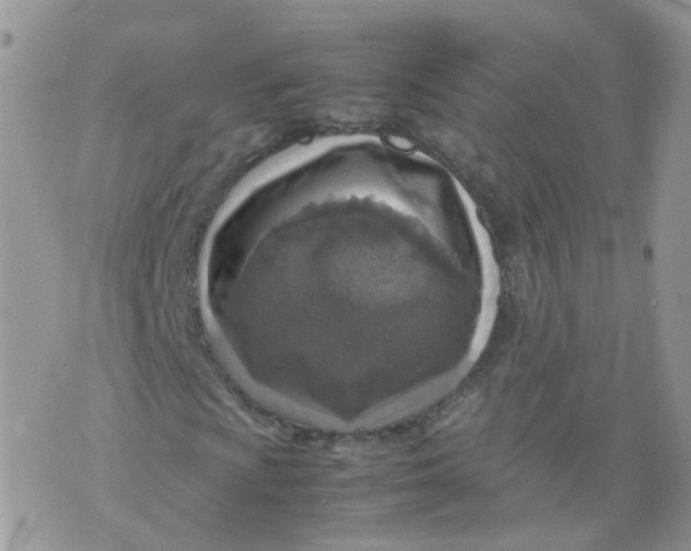 X0000070371009200606301851