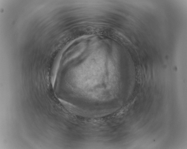 X0000070371013200606301851