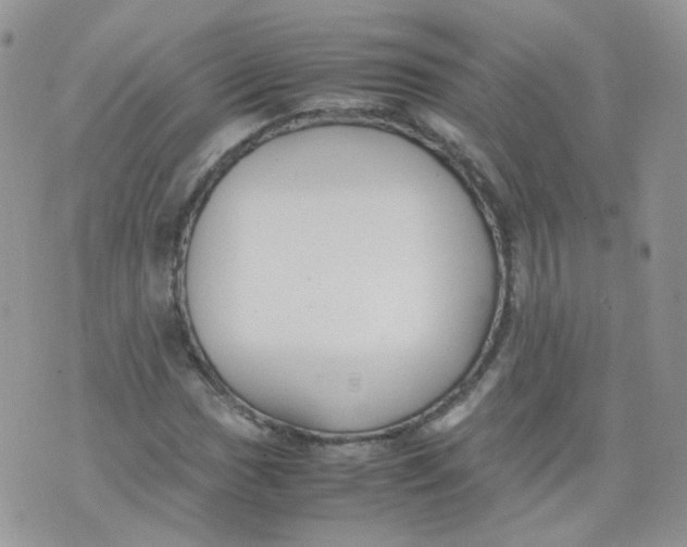 X0000070371017200606301851