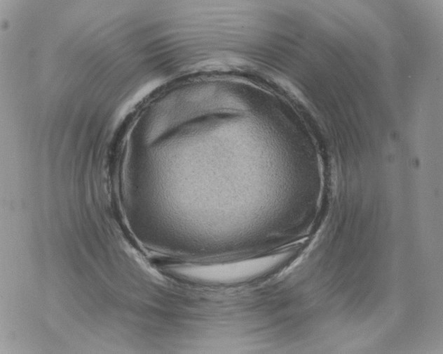 X0000070371018200606301851