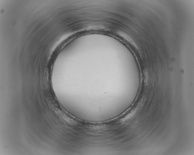 X0000070371021200606301851