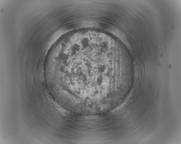 X0000070371023200606301851