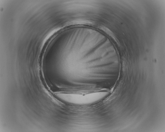 X0000070371024200606301851